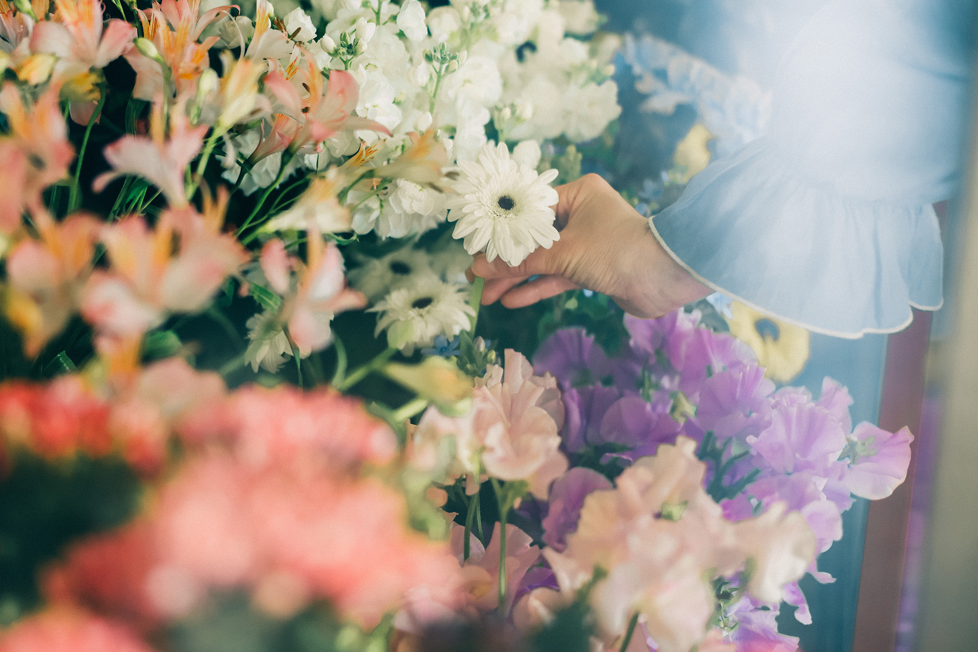 Eachdayの花・観葉植物販売