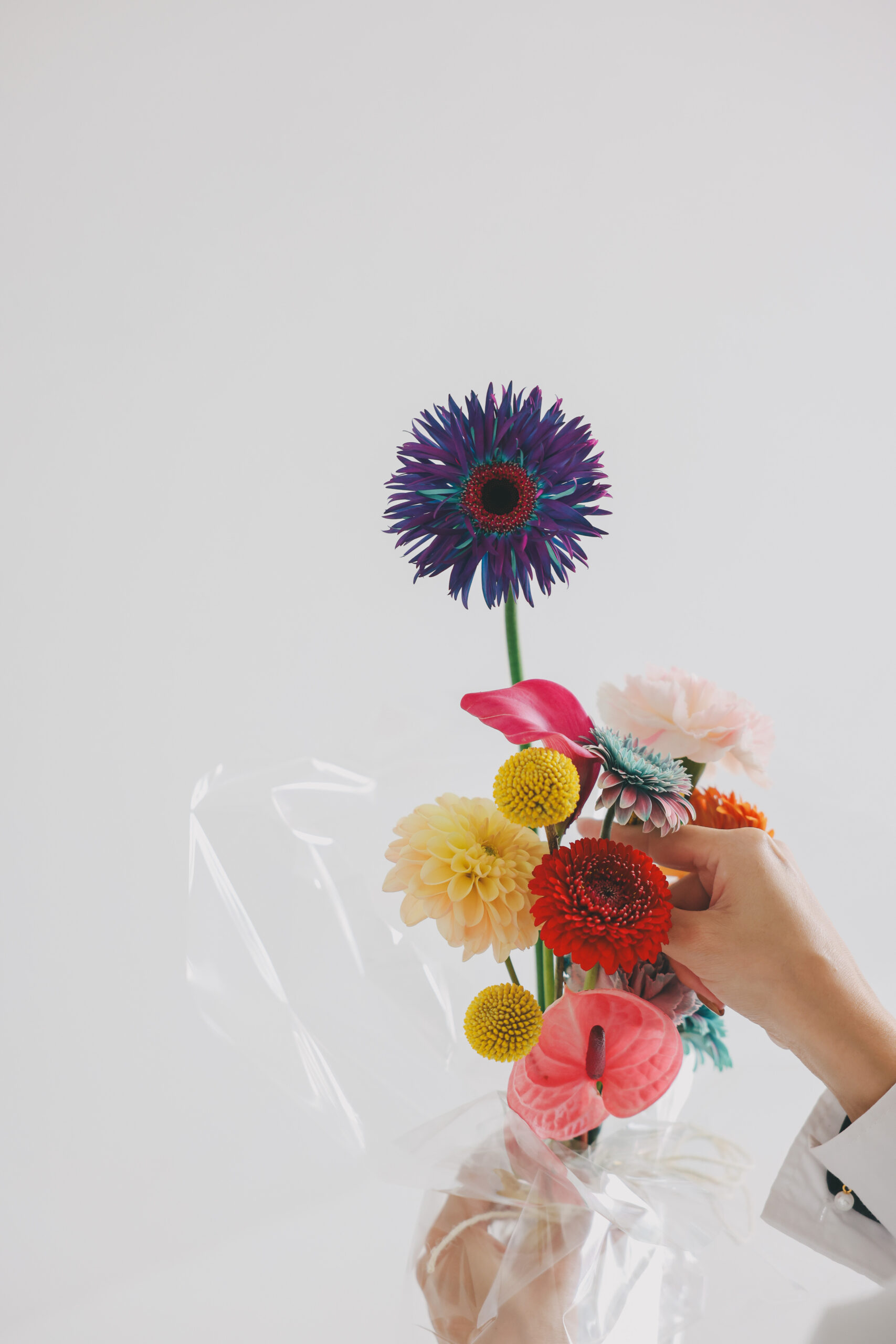 数え切れぬ感謝を皆様へ