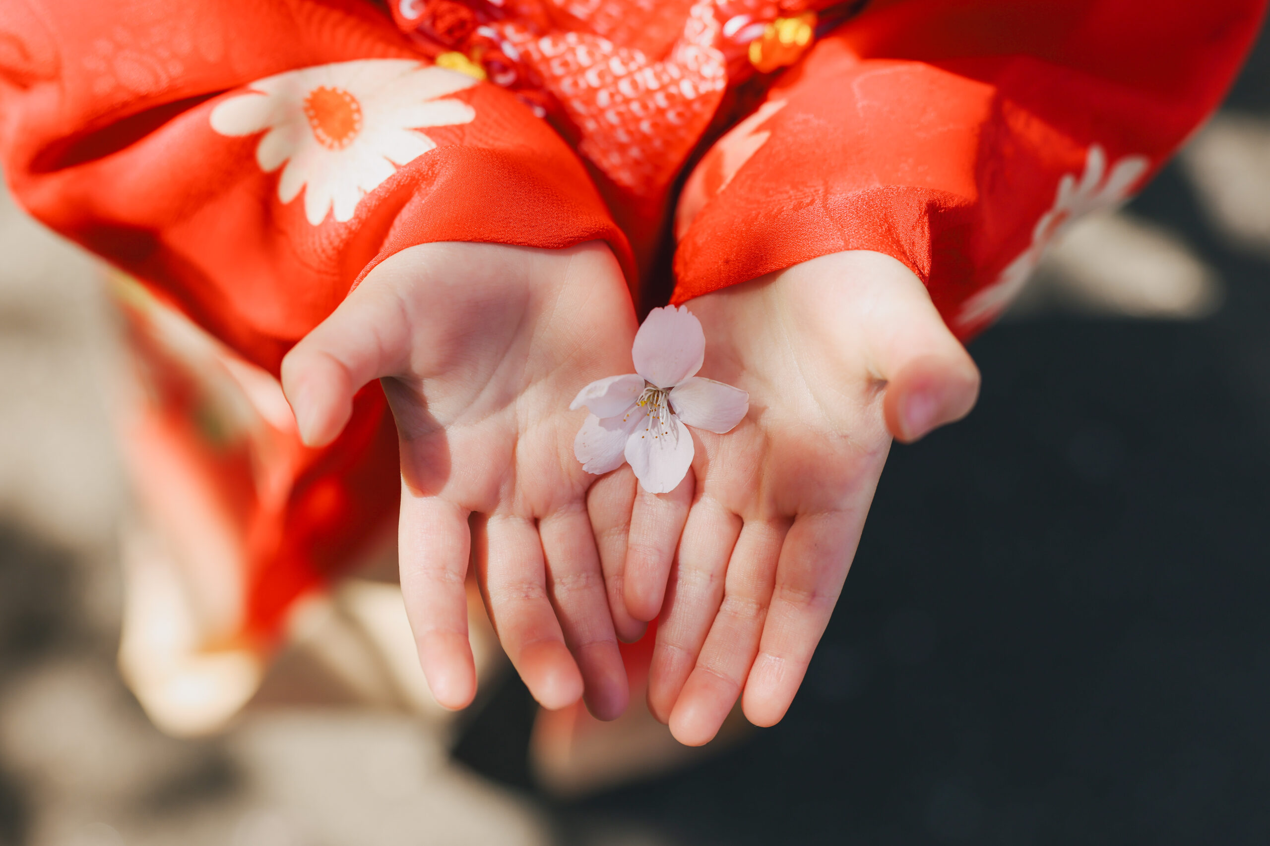満開の桜がお祝いしてくれた日